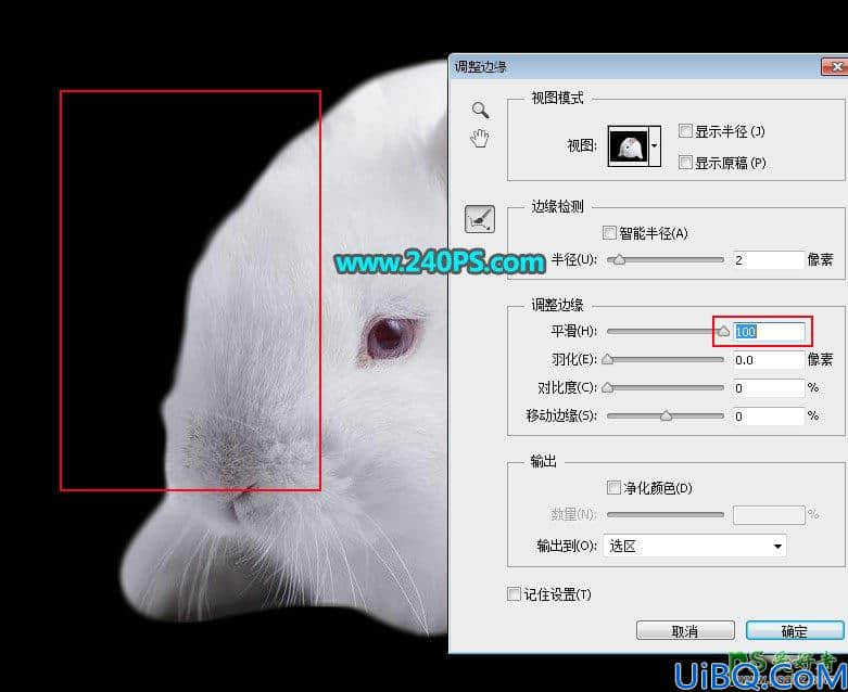 Photoshop新手入门教程：学习调整边缘如何使用，利用调整边缘抠图。