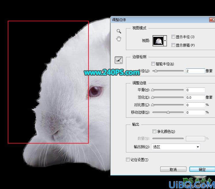 Photoshop新手入门教程：学习调整边缘如何使用，利用调整边缘抠图。