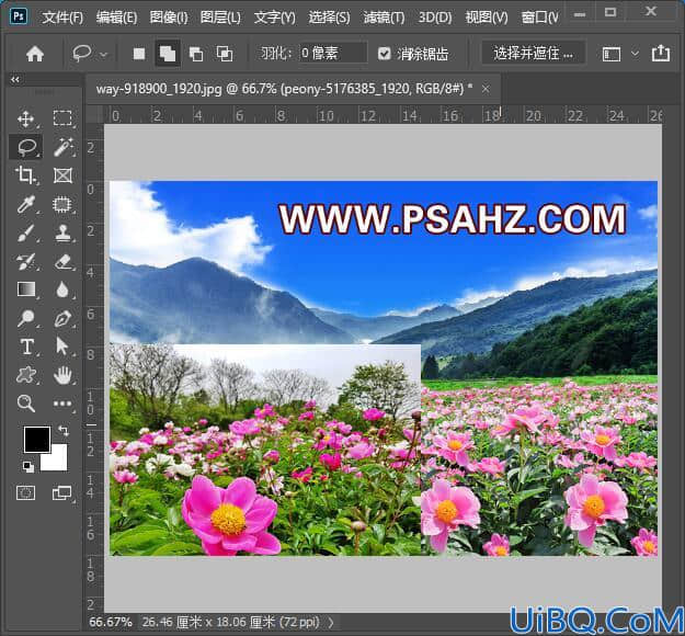 Photoshop合成一幅花开富贵的美景，漂亮的花海风景图片。