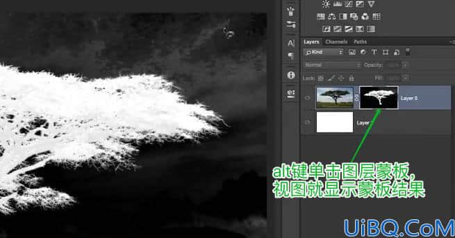 学习用photoshop色彩范围工具抠出背景复杂的大树素材图。