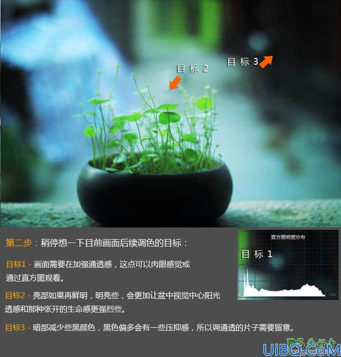 Photoshop后期给植物图片调出小清新效果。