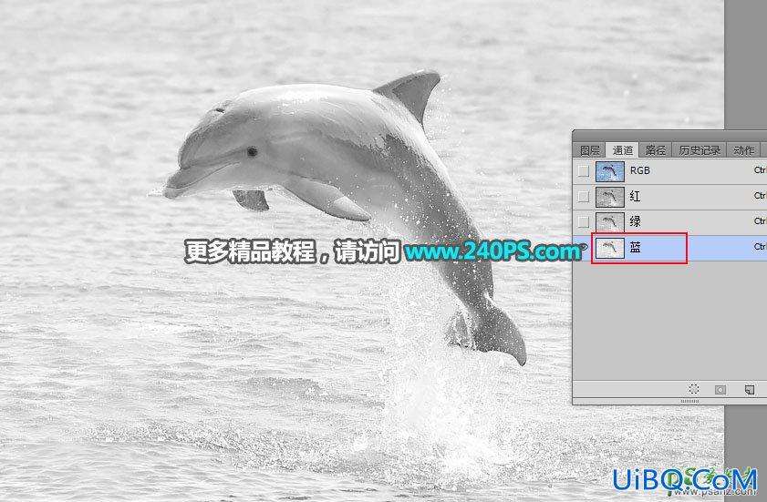 利用PS通道及调色工具快速把跃出水面的海豚素材图片