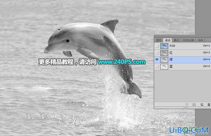 利用PS通道及调色工具快速把跃出水面的海豚素材图片