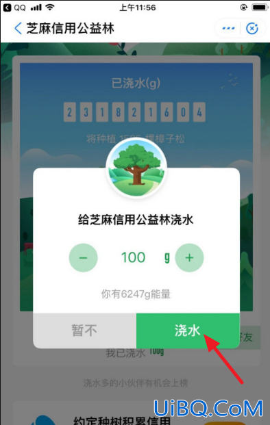 蚂蚁森林怎么换彩色树