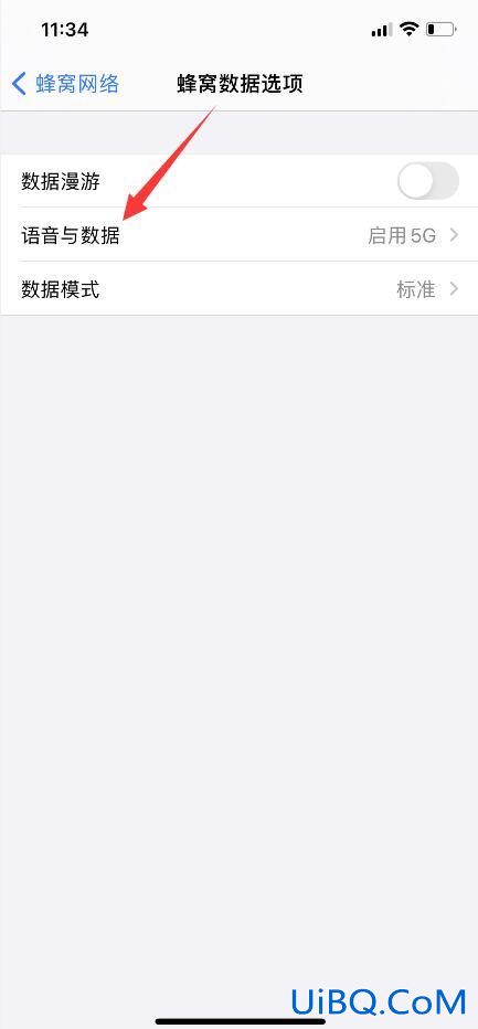 iphone12关闭5g开关