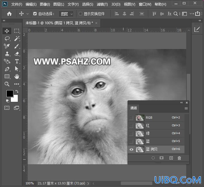 Photoshop动物抠图教程：使用通道工具快速抠出一只猴子。