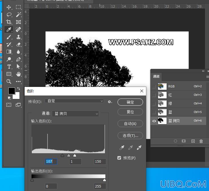 Photoshop抠图教程：用通道及色阶工具快速抠出户外风景照片中的一棵大树