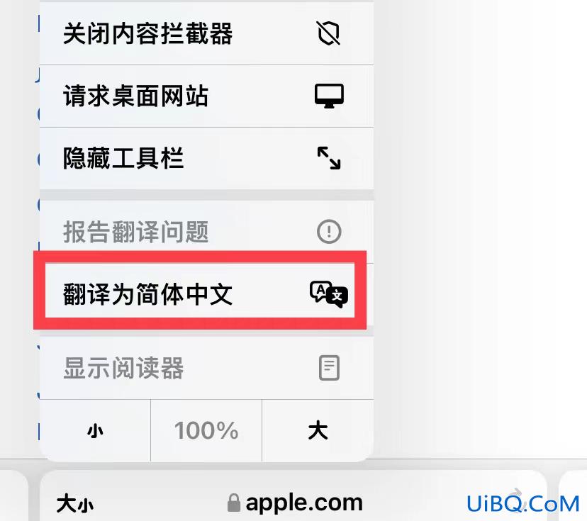 苹果浏览器翻译功能在哪