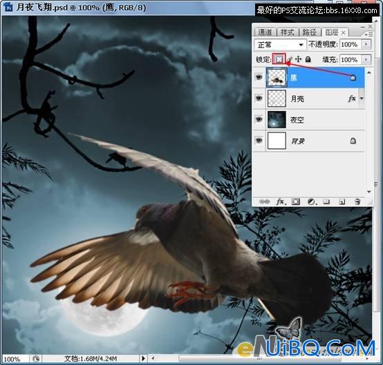 PS照片合成教程:黑夜中飞翔的鸽子