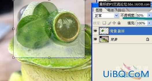PS照片合成教程:变异的青蛙
