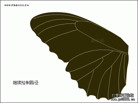PS鼠绘教程:绘制逼真的美丽蝴蝶
