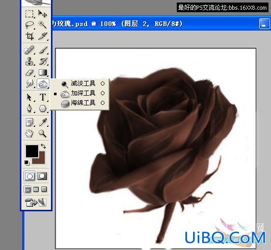 用PS把真实的玫瑰花变成巧克力花