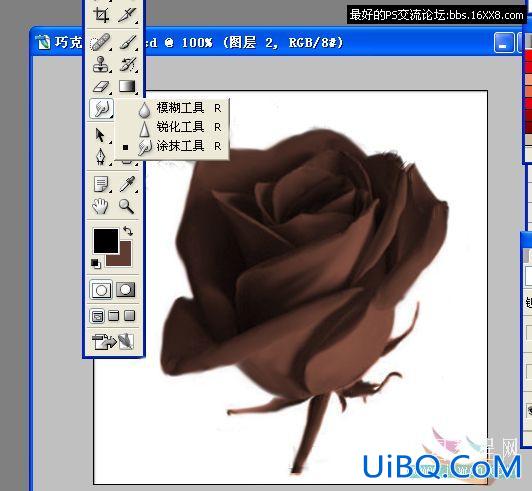 用PS把真实的玫瑰花变成巧克力花