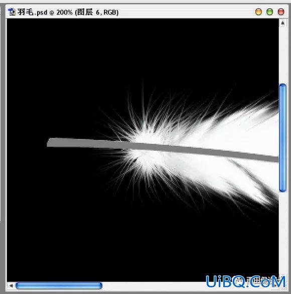 抠羽毛，Photoshop绘制逼真的洁白羽毛