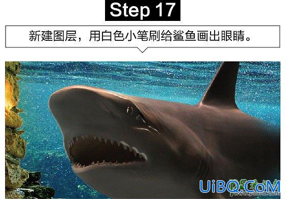 PS创意合成众水族馆中钻出的大鲨鱼特效图片