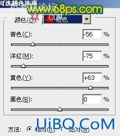 PS打造鲜丽的橙黄色郁金香图片