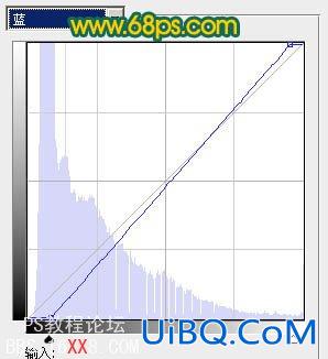 PS打造鲜丽的橙黄色郁金香图片