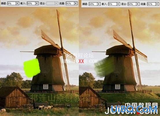 PS CS5混合器画笔工具轻松做油画效果