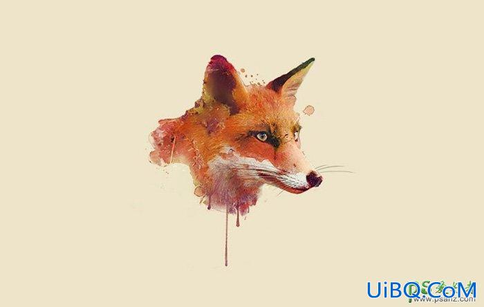 Photoshop鼠绘可爱的动物头像教程：手绘水彩动物狐狸的头像，彩绘头像