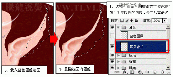 ps详细解析卡通画的设计与绘制流程