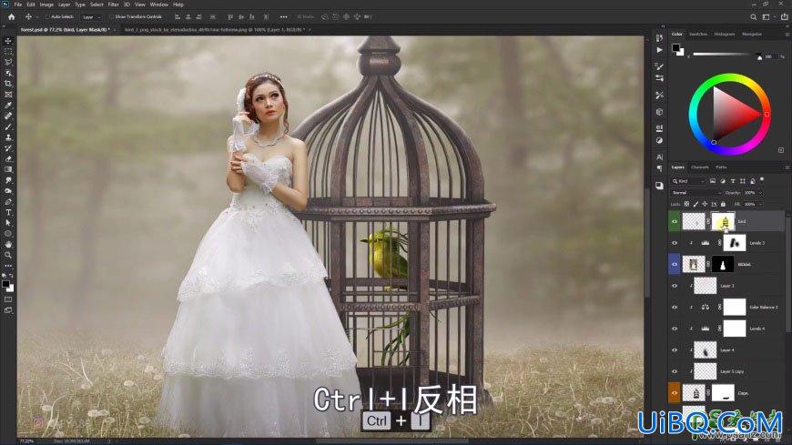 PS创意合成森系婚纱照美女与巨型鸟笼在森林中的秘境场景