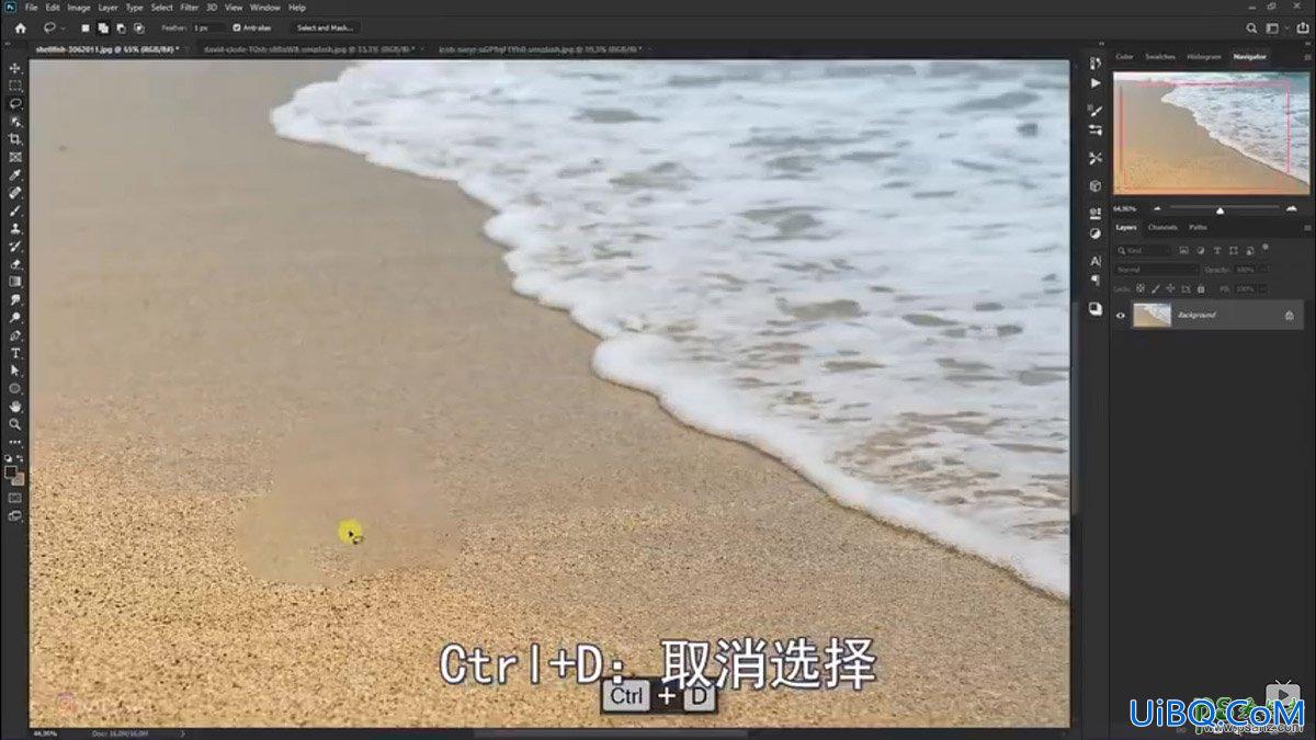 PS创意合成小海龟走进掀开被子效果的海浪中，回家的海龟