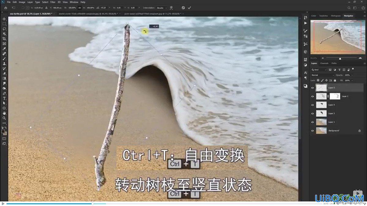 PS创意合成小海龟走进掀开被子效果的海浪中，回家的海龟