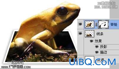 Ps教程-跳出画面的青蛙