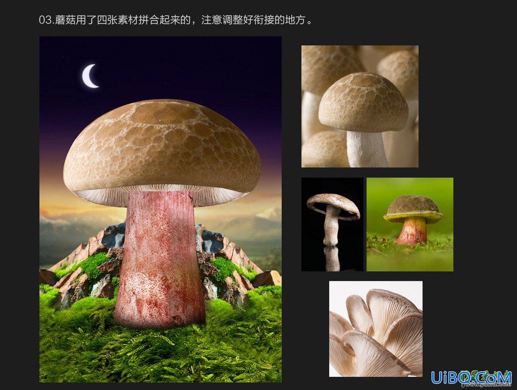 PS创意合成小熊的蘑菇房子梦幻海报场景。