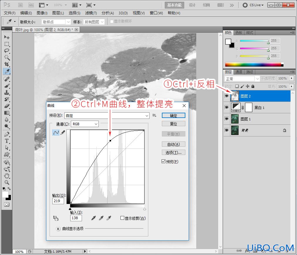 Photoshop水墨画合成教程：利用荷叶塘与鲤鱼图像结合制作出水墨画效果。