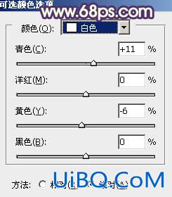 ps打造古典青褐色树林婚纱照片