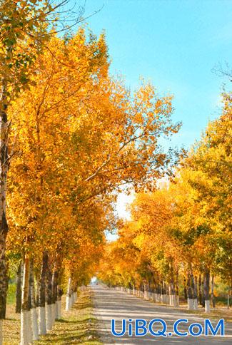 ps快速给树林图片增加艳丽的秋季色