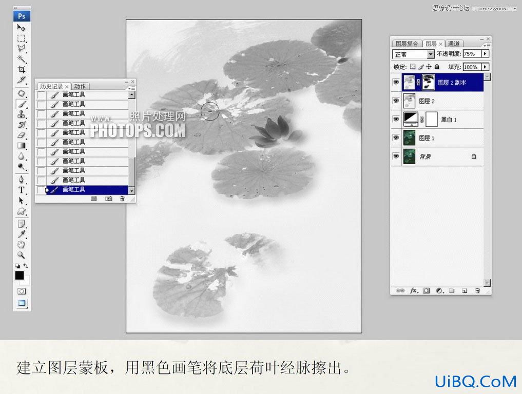 ps用荷花素材设计中国风水墨封面