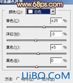 ps婚纱照黄昏色调