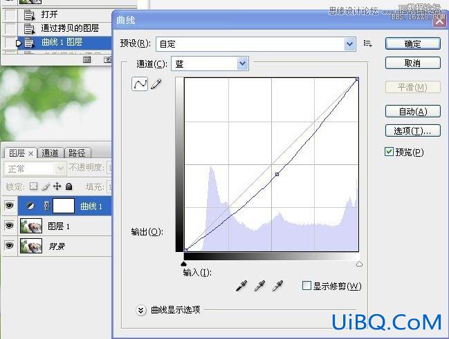 ps黄绿色淡淡优雅风格调色教程