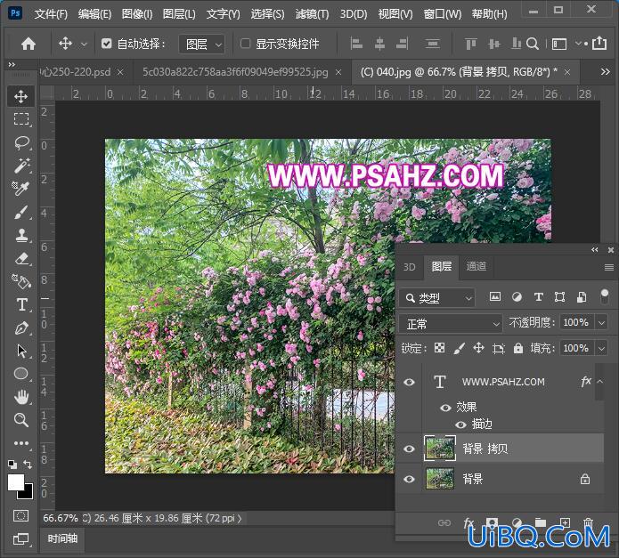 Photoshop调色教程：给夏日里漂亮的花卉素材图调出浪漫的紫色。