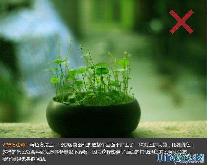 PS后期给植物图片调出小清新效果。