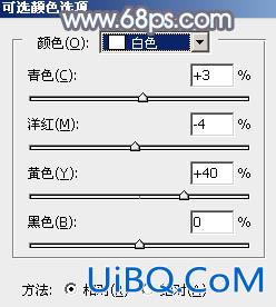 ps调出照片的中性淡冷色调教程